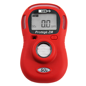 Single Gas Monitor Protégé ZM - Portable Monitors | Teledyne GFD