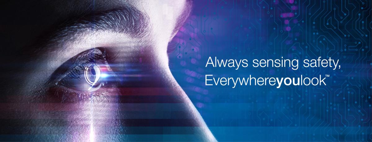 everywhereyoulook banner